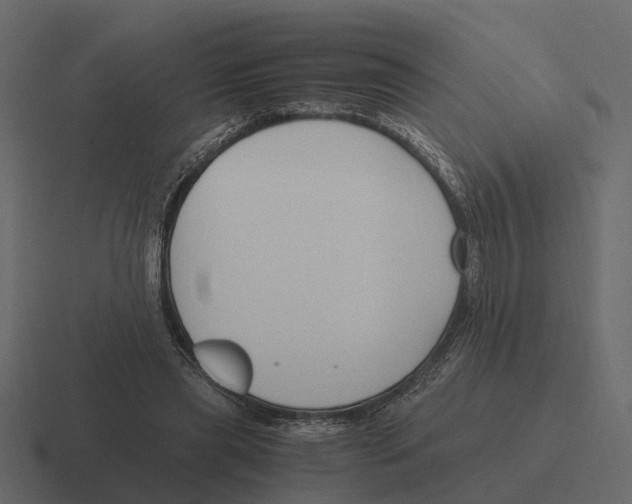 X0000116330445200912291556