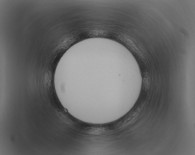 X0000116330458200912291556