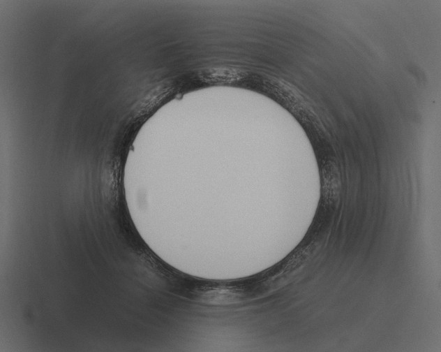 X0000116330460200912291556