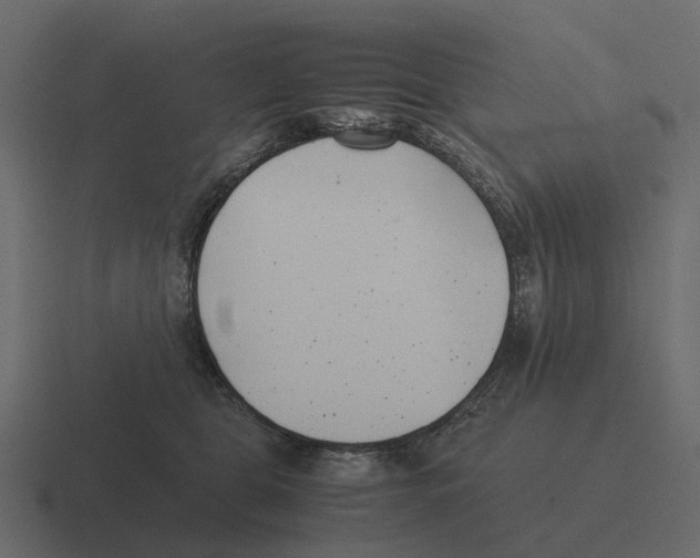 X0000116330469200912291556