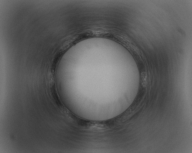 X0000116330471200912291556