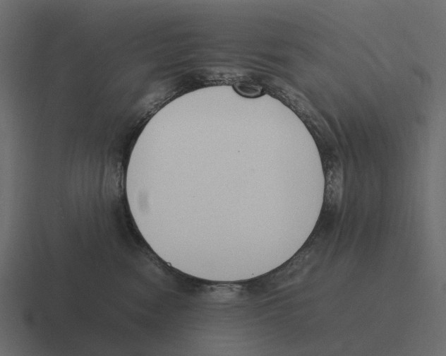 X0000116330474200912291556