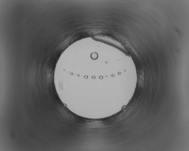 X0000116330476200912291556