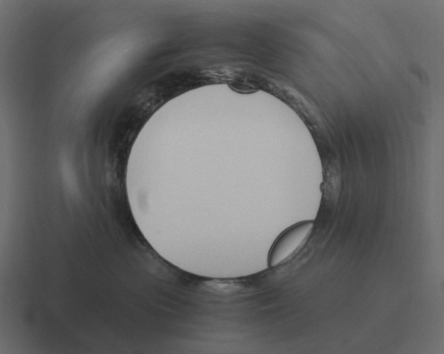 X0000116330477200912291556