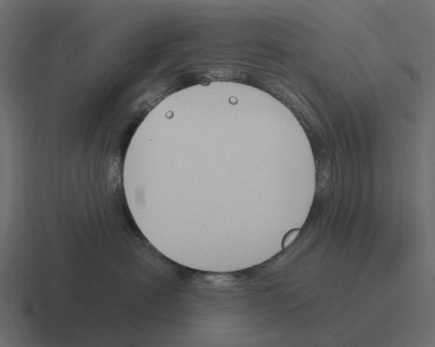 X0000116330478200912291556
