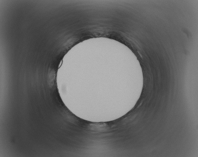 X0000116330480200912291556