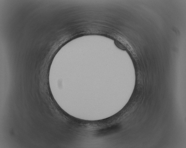 X0000116330481200912291556