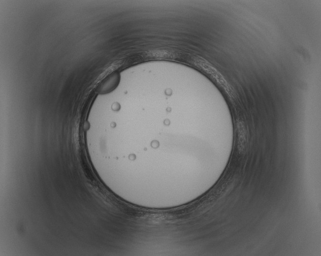 X0000116330482200912291556