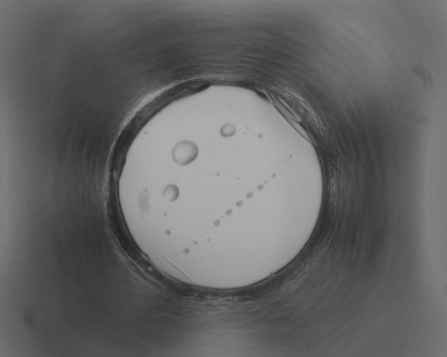 X0000116330484200912291555