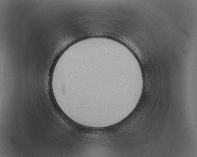 X0000116330485200912291555