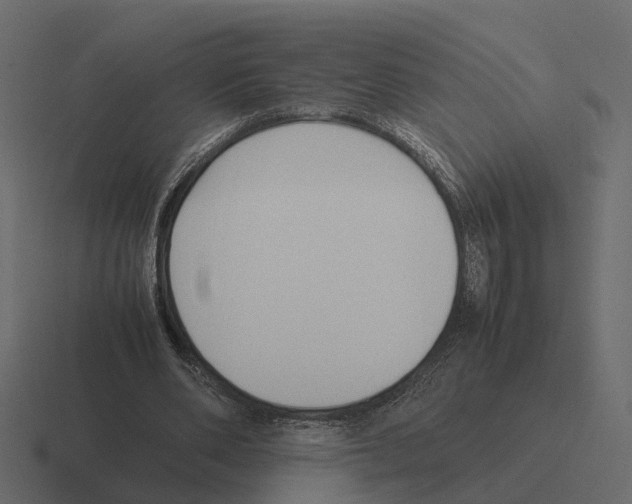X0000116330486200912291555