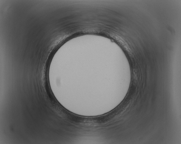 X0000116330487200912291555