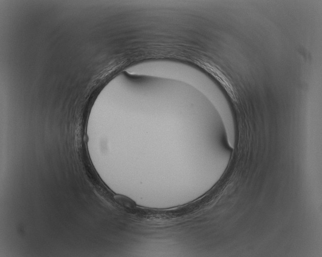 X0000116330489200912291555