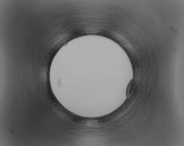 X0000116330501200912291555