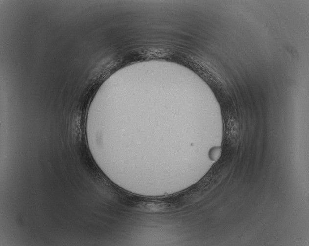 X0000116330506200912291555