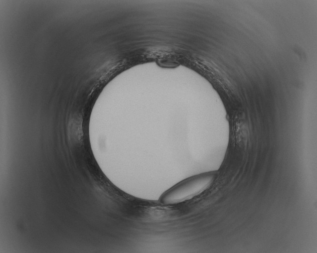 X0000116330508200912291555