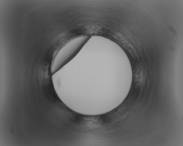 X0000116330516200912291555