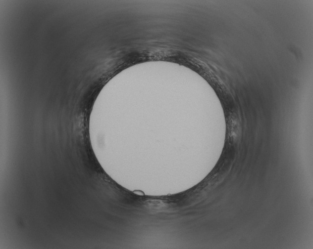 X0000116330519200912291555
