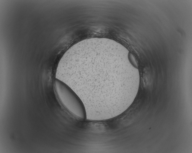 X0000116330520200912291555