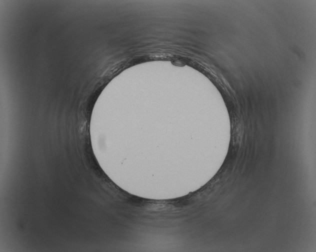 X0000116330521200912291555