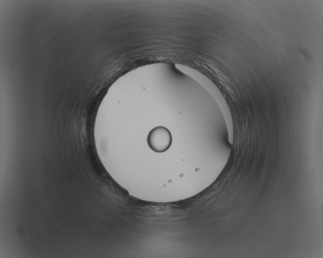 X0000116330524200912291555