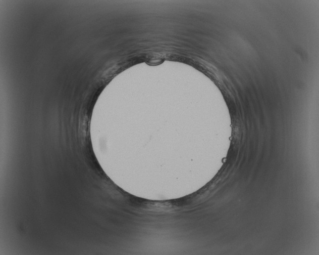 X0000116330525200912291555