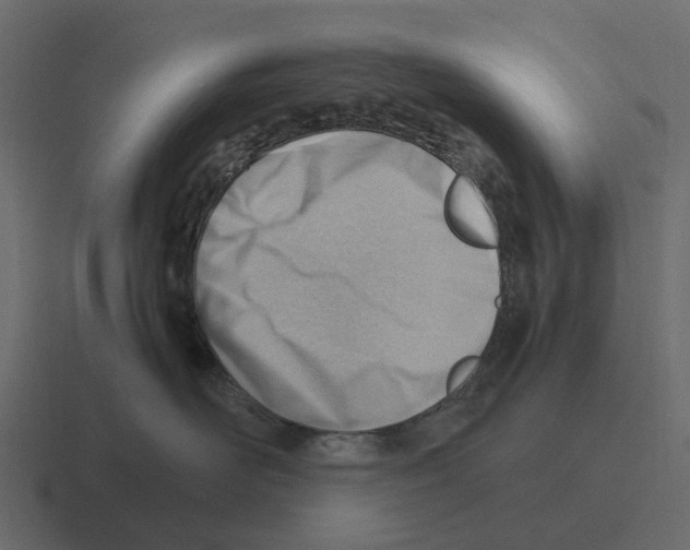 X0000116330526200912291555