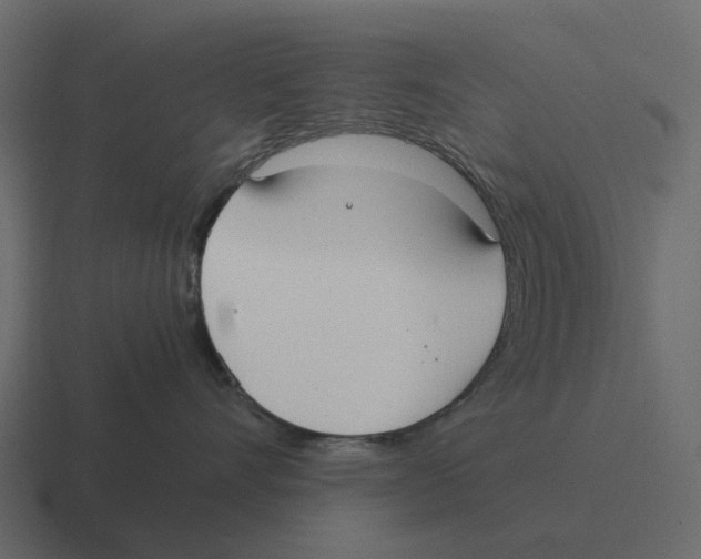 X0000116330528200912291555