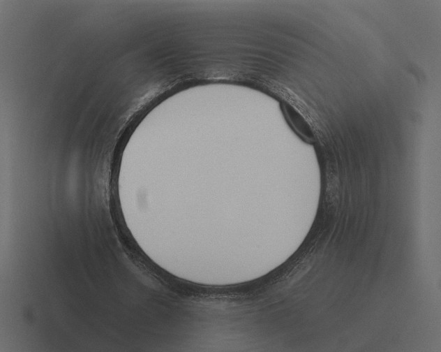 X0000116330530200912291554