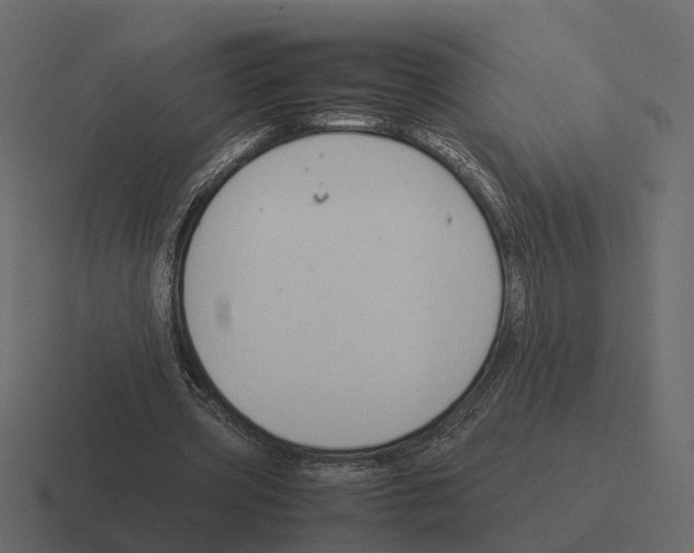 X0000116330533200912291554
