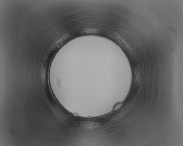 X0000116330542200912291554
