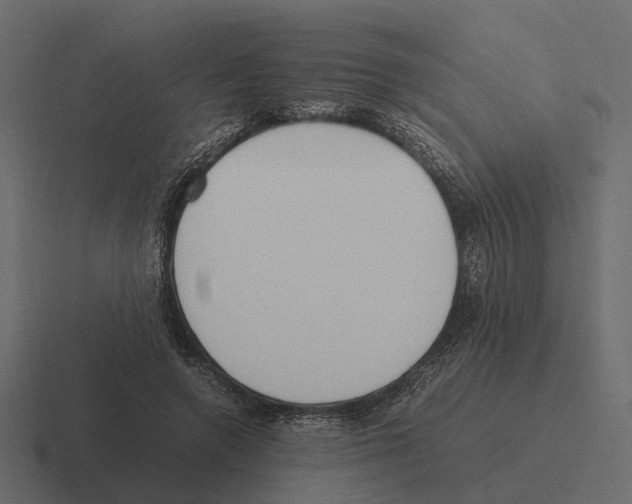 X0000116330546200912291555
