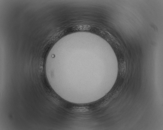 X0000116330553200912291555