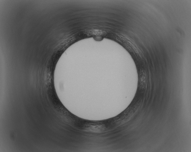 X0000116330555200912291555