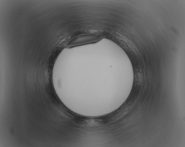 X0000116330558200912291555