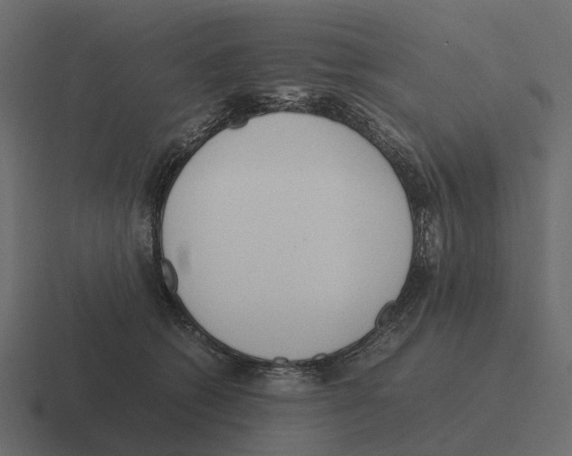 X0000116330562200912291555