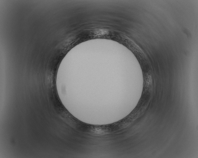 X0000116330565200912291555