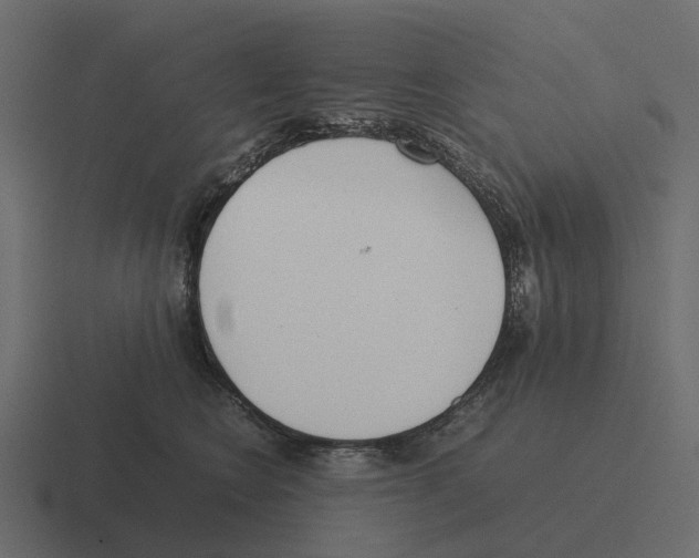 X0000116330566200912291555