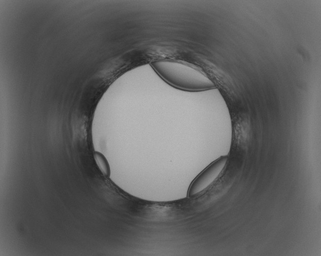 X0000116330570200912291555