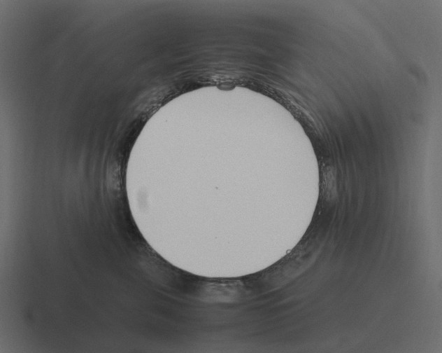 X0000116330571200912291555