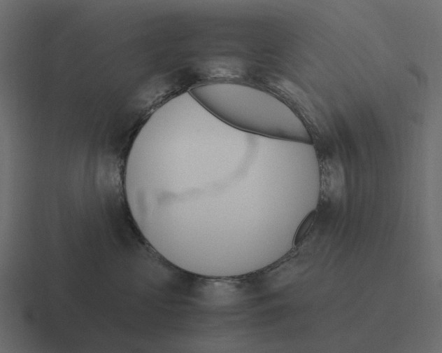 X0000116330573200912291555