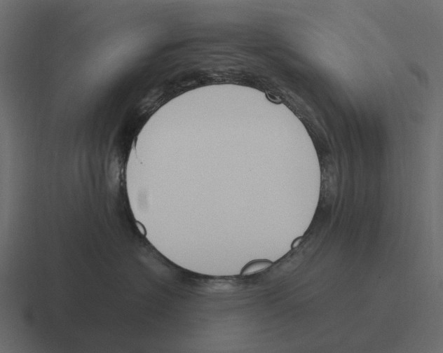 X0000116330574200912291555