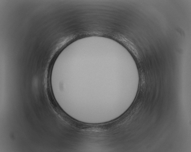 X0000116330578200912291554