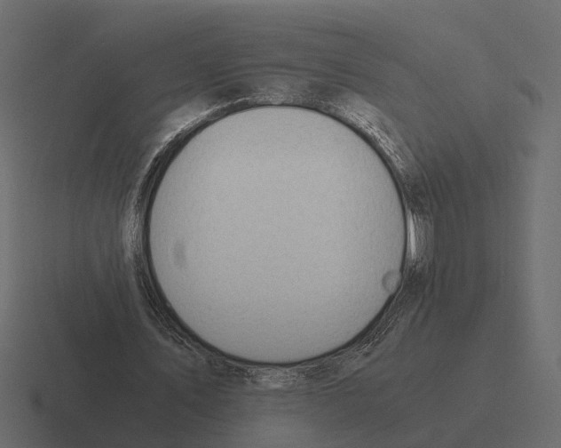 X0000116330579200912291554