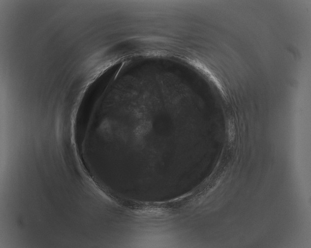 X0000116330581200912291554