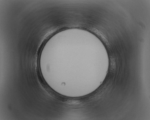 X0000116330582200912291554
