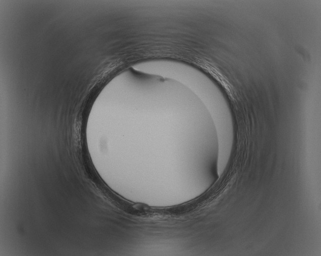 X0000116330585200912291554