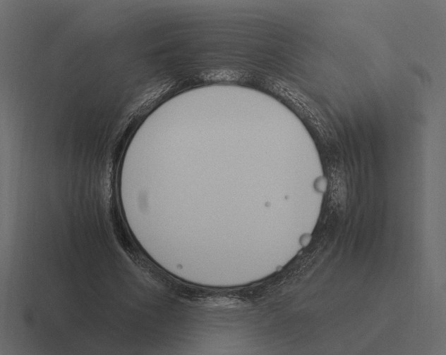 X0000116330586200912291554