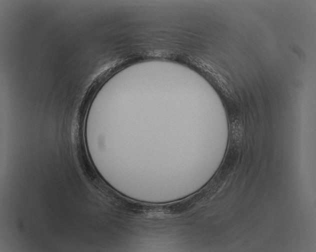 X0000116330587200912291554