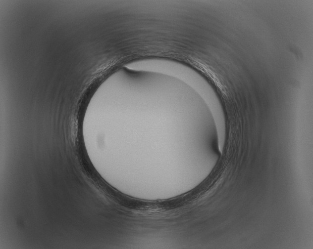 X0000116330589200912291554